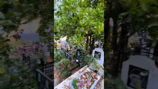 Царство небесное дедушка 👴 любимый 🤍🫶🏼! Земля для тебя пухом пусть будет 🕊️ смотреть онлайн