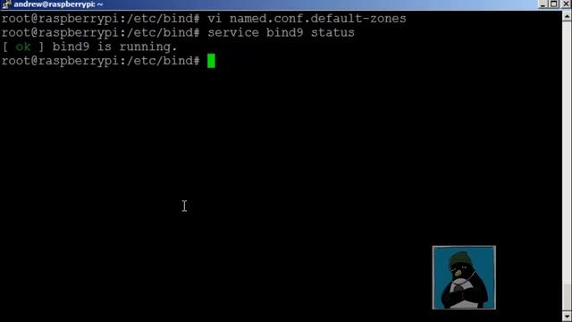 Raspberry Pi DNS Server смотреть онлайн