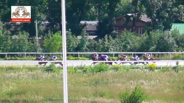30.07.2023 Приз Терского конного завода на лошадях 3-х лет арабской породы - Подход Терск смотреть онлайн