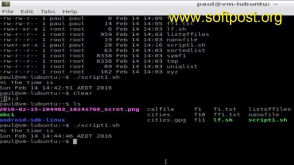 How to execute sh file in Mac OS X Terminal