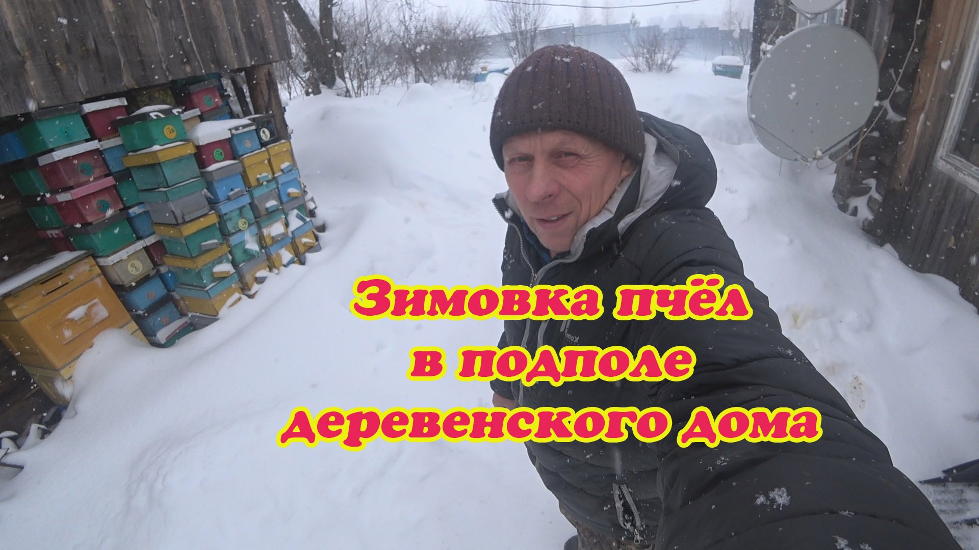 ЕСТЬ ГИБЕЛЬ И ПОНОС ПЧЁЛ, ЗИМОВКА ПЧЁЛ В ПОДПОЛЕ ДЕРЕВЕНСКОГО ДОМА. смотреть онлайн