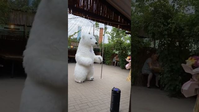 Поздравление Мишки «Кафе Волна» смотреть онлайн