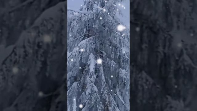 Удачной зимы❄️Чудесного зимнего дня❄️#добрыйдень смотреть онлайн