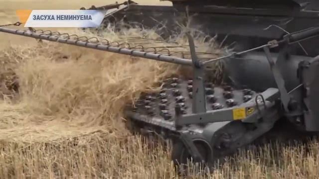 ЗАСУХА НЕМИНУЕМА смотреть онлайн