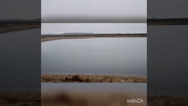 Перелётные птицы, лебеди... Хутор Солёное Озеро. смотреть онлайн