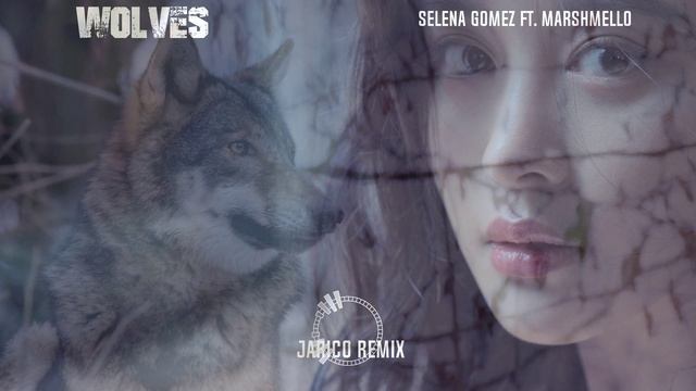SELENA GOMEZ FT. MARSHMELLO - WOLVES (Jarico Remix) смотреть онлайн