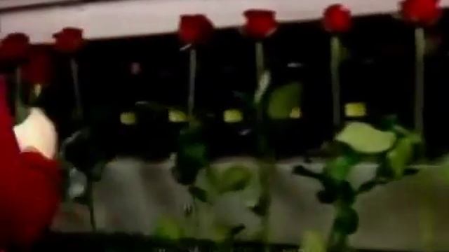 КЧР наша гордость смотреть онлайн