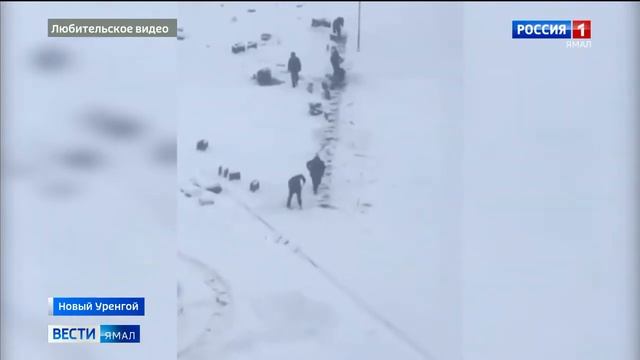 Жители Нового Уренгоя опасаются за качество строительства новой детской площадки смотреть онлайн