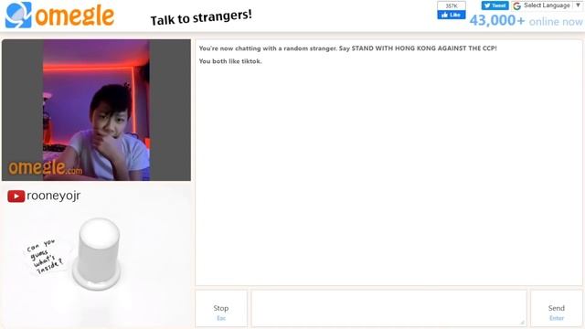 Fortune Drawer on Omegle "Shocking Reactions" смотреть онлайн