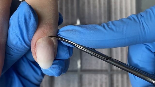 Укрепление Hard gel Fox ? | осенняя/зимняя на коллекция FOX&Маша Ефросинина смотреть онлайн