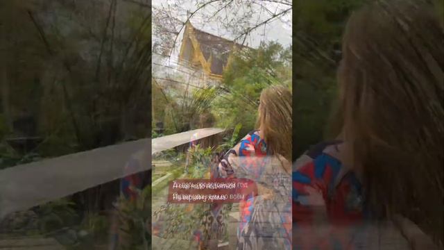 Этот храм словно из другого мира! 🐉 смотреть онлайн