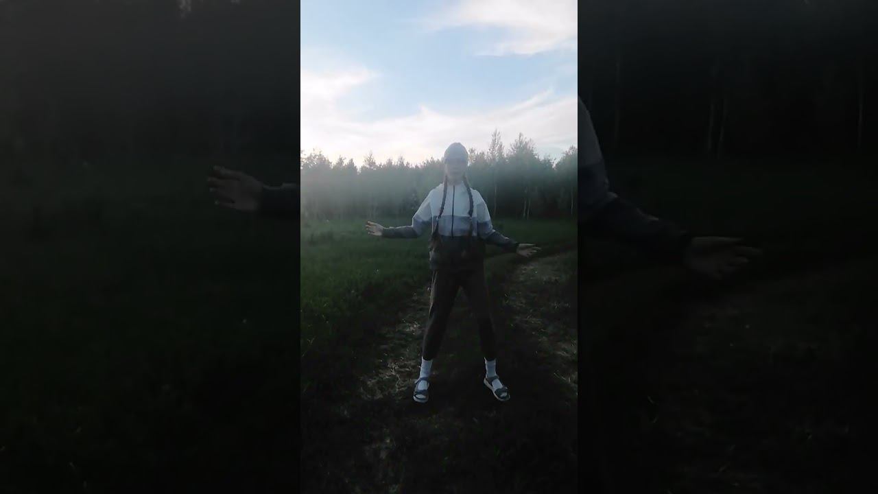 Танцую Котиков вместе с КОМАРАМИ #котики #dance #настякошзаметь @NastenkaKosh смотреть онлайн