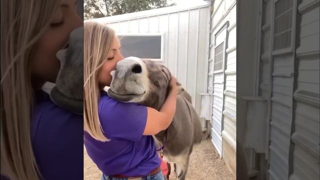 Любовь с первого взгляда смотреть онлайн