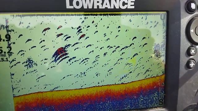 Проверка датчика Lowrance Tripleshot N°505577030 на работоспособность (дуги)