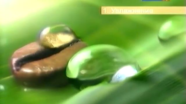 Garnier. Кофеиновый ролик против темных кругов. смотреть онлайн