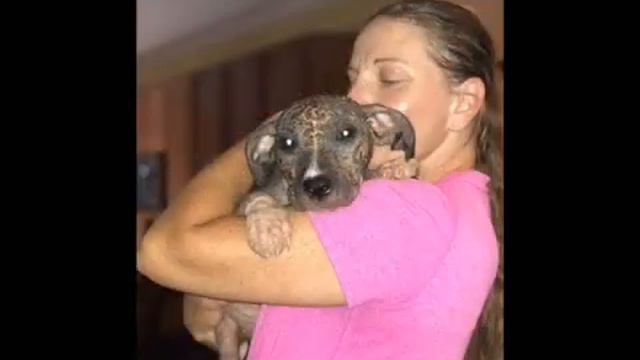 Этому крошечному малышу просто нужен был человек, который полюбит его смотреть онлайн