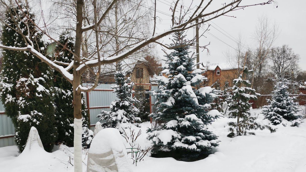 Приглашаю на зимнюю❄️ прогулку по снежному саду ️Поболтаем☃️ смотреть онлайн