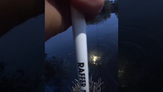 InShot_20230606_205002866.mp4 смотреть онлайн