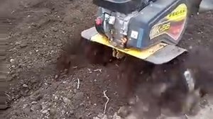 мотоблок пегас