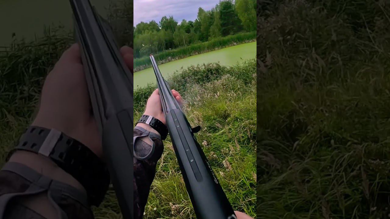 Тот случай когда глаза разбегаются #duckhunting #hunting