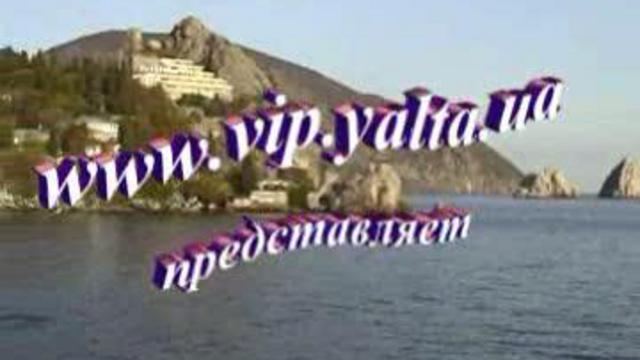 В предновогоднем Гурзуфе купаются не только смельчаки, но и собаки!