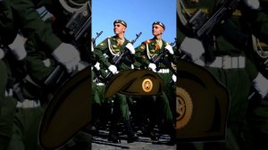 Цвета беретов в армии и силовых подразделениях РФ