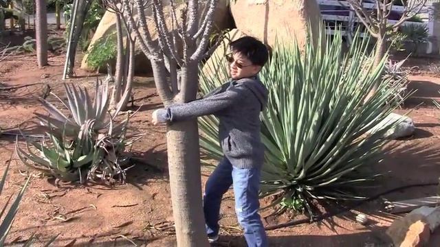 Matthew Visits Rare Succulents Nursery, Part Three смотреть онлайн