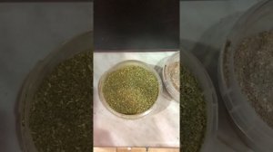 Корм для червя, составляющие пропорции и эксперименты с кормом.