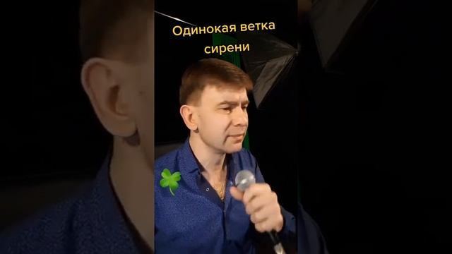 Роман Ефимов - Одинокая ветка сирени