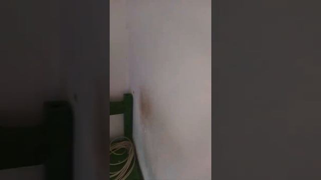 Калибровка железнодорожных весов A12E смотреть онлайн