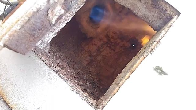 CIB UNIGAS ITALY смотреть онлайн