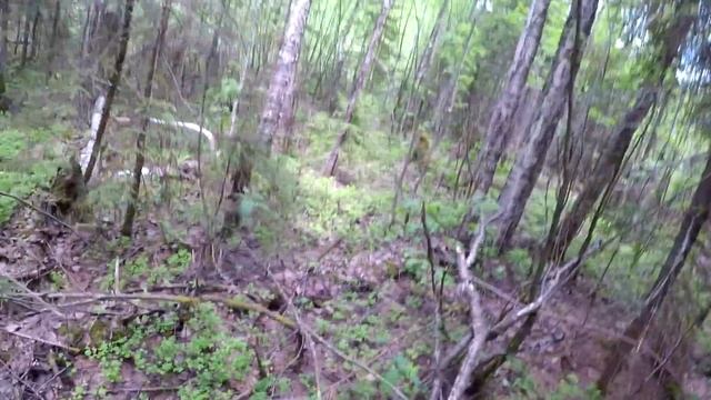 Поиск пропавшей деревни в тайге. смотреть онлайн