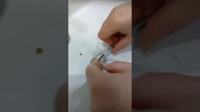 Открываем ракушки!!!! Что внутри?