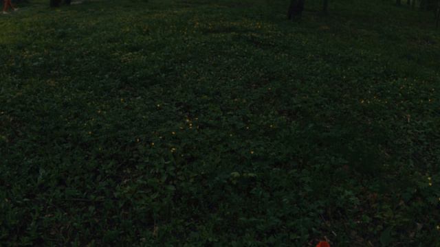 Самара. Ботанический сад часть 2. Весна Анаморфот 1,55х #anamorphic #mcpro24fps #самара смотреть онлайн