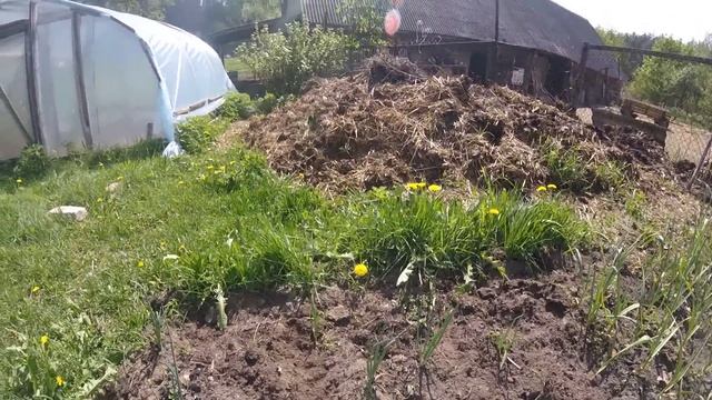Огород и рассуждения о жизни в деревне. смотреть онлайн