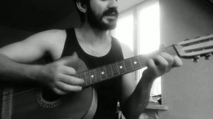 Розенбаум - Братан гитара акустика