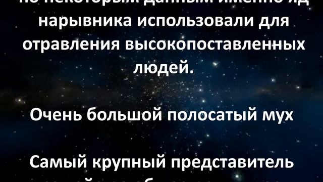 ТОП 5 НАСЕКОМЫХ РОСИИ СПОСОБНЫХ УБИТЬ ЧЕЛОВЕКА смотреть онлайн