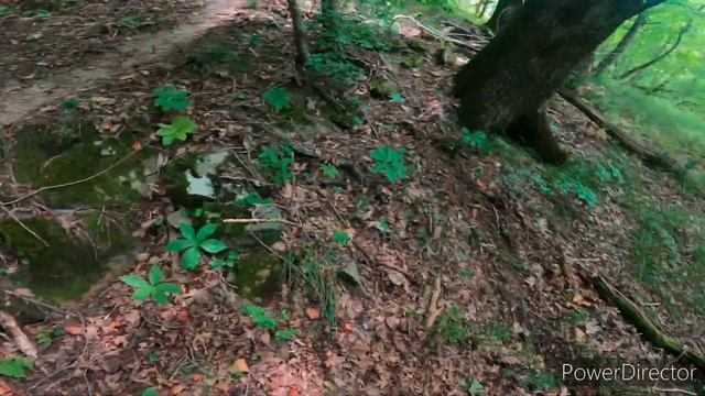 КАТНУЛИ ГОСТЕЙ. ТОПОВЫЙ АВАНТИС. ЭНДУРО В НЕБУГЕ смотреть онлайн