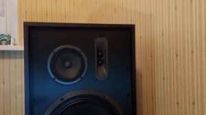 Magnat Transpuls 1500 - Обзор