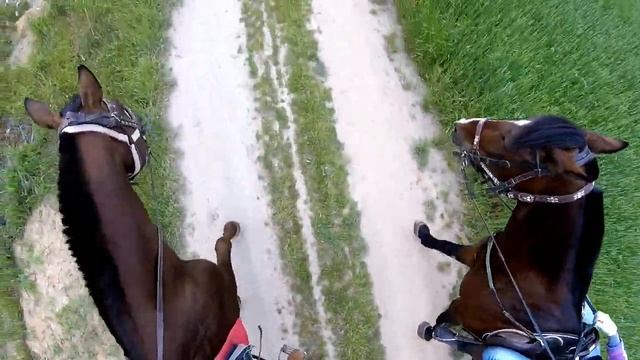 Horse Riding (GoPro Hero4 Session) / Экстремальная верховая езда. История одной любви смотреть онлайн