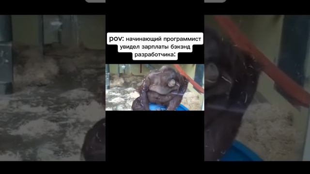 А какая реакция была у вас? смотреть онлайн