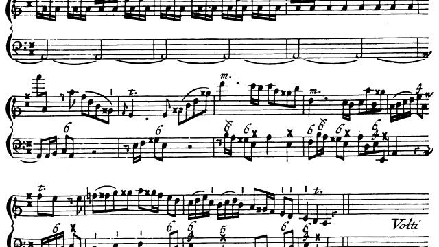 Pietro Castrucci: Recorder Sonata in F major (Bali / Pétery) смотреть онлайн