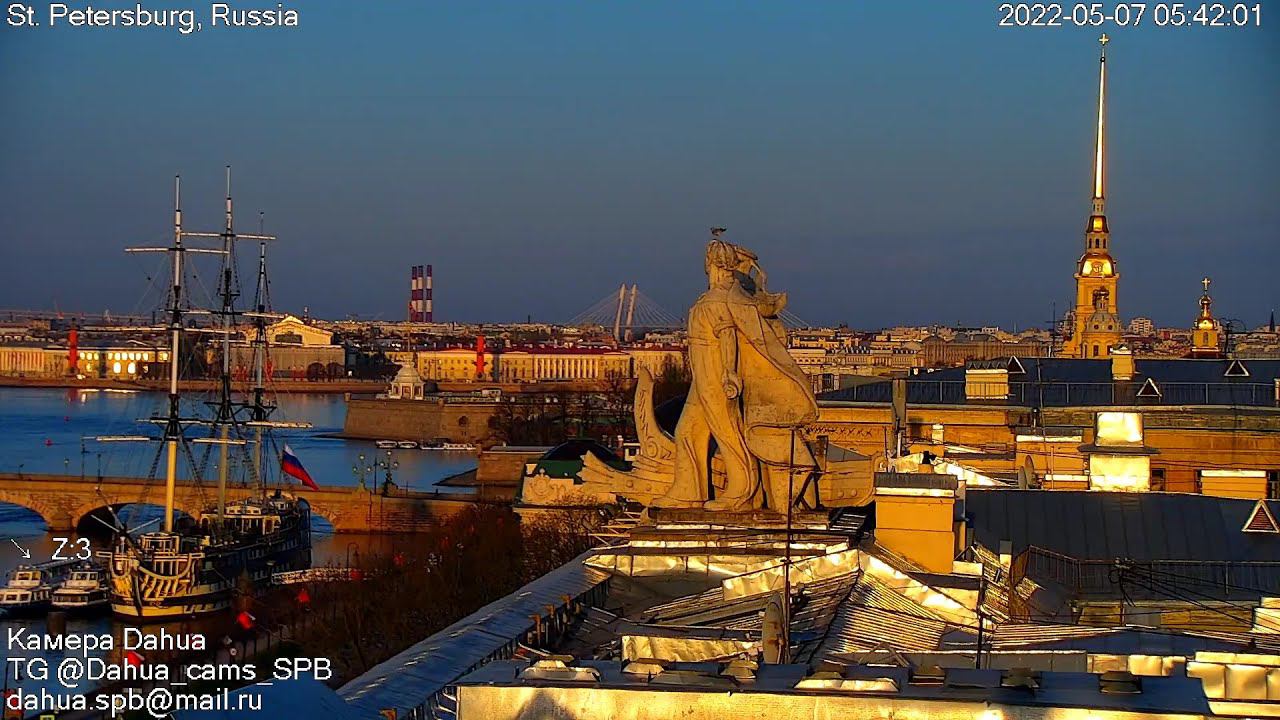 Утро чаечки. Попробуйте посмотреть на видео зевающей спросонок чаечки и сдержаться. Seagull morning. смотреть онлайн