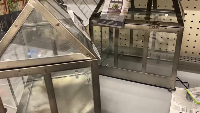 Pots & Plants At Walmart