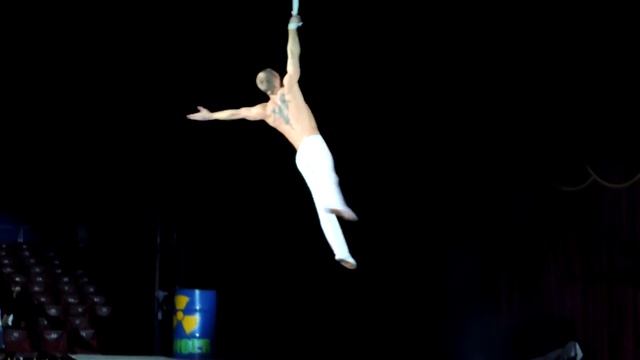 Небезпечний безумний цирк „Madness