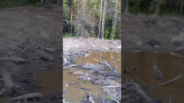 как отвести воду с участка смотреть онлайн