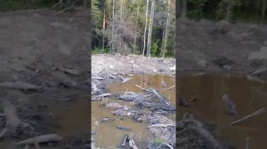 как отвести воду с участка