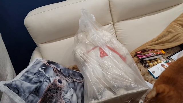 ОБАЛДЕННЫЙ ПОДАРОК НА НОВЫЙ ГОД смотреть онлайн