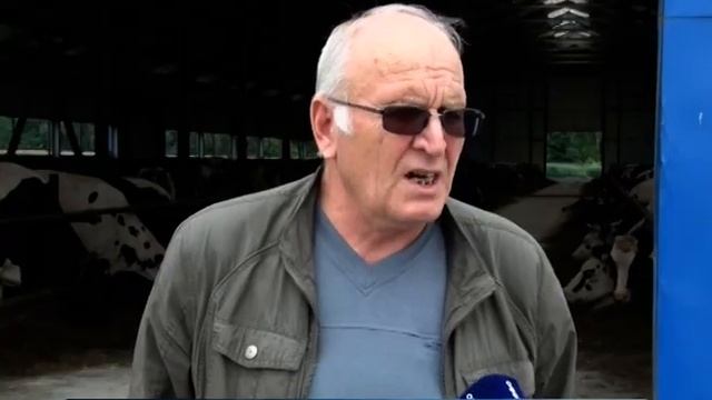 Производство молочных продуктов в городском округе Домодедово смотреть онлайн