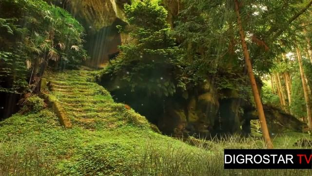 Сказочный лес (релакс) смотреть онлайн